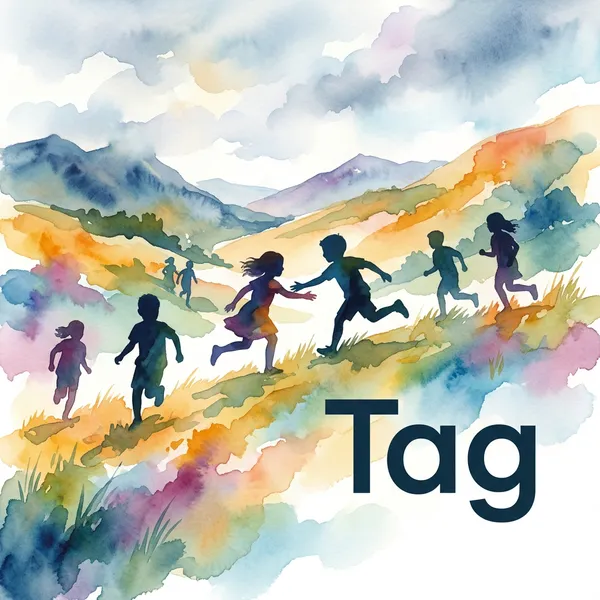 Cover of the decodable book Tag